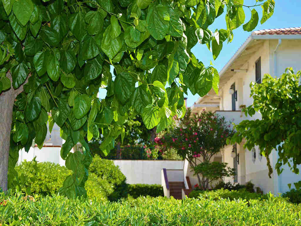 naturaleza del apartamento de sitges para vacaciones