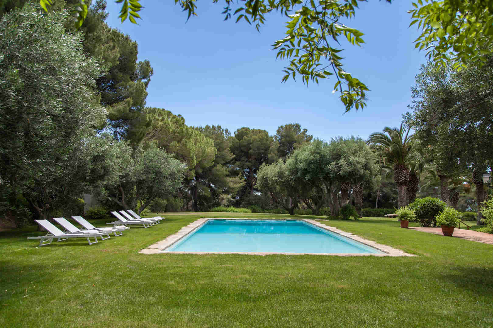 jardin