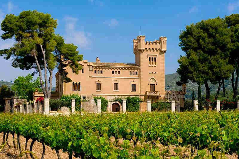 Activities in the Penedés: wine tour