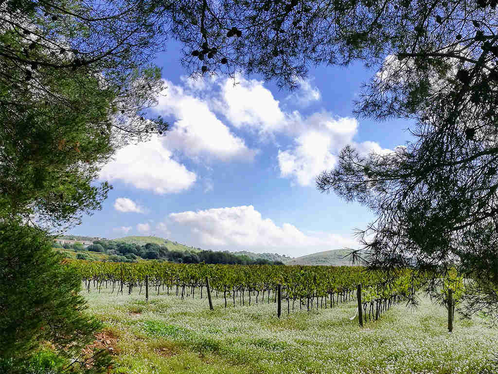 Villas en Sitges en Otoño y su naturaleza