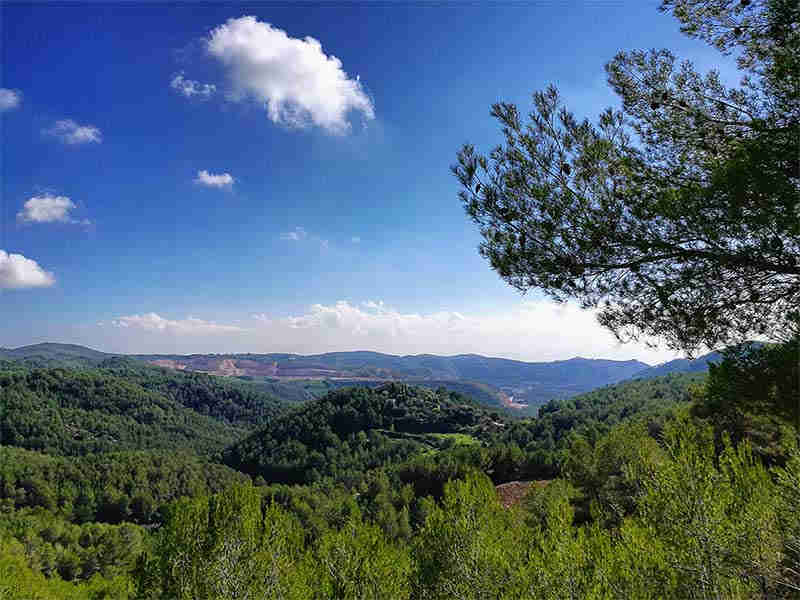 La naturaleza de Sitges