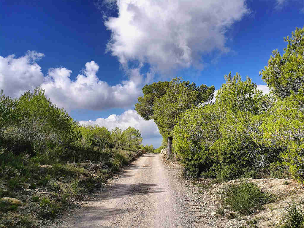 La nature à Sitges