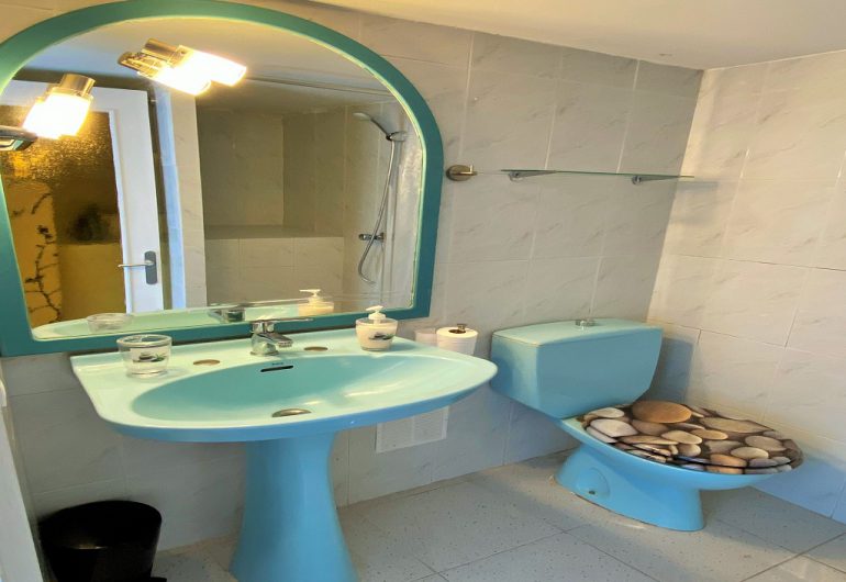 salle de bain avec mirroir et toilette