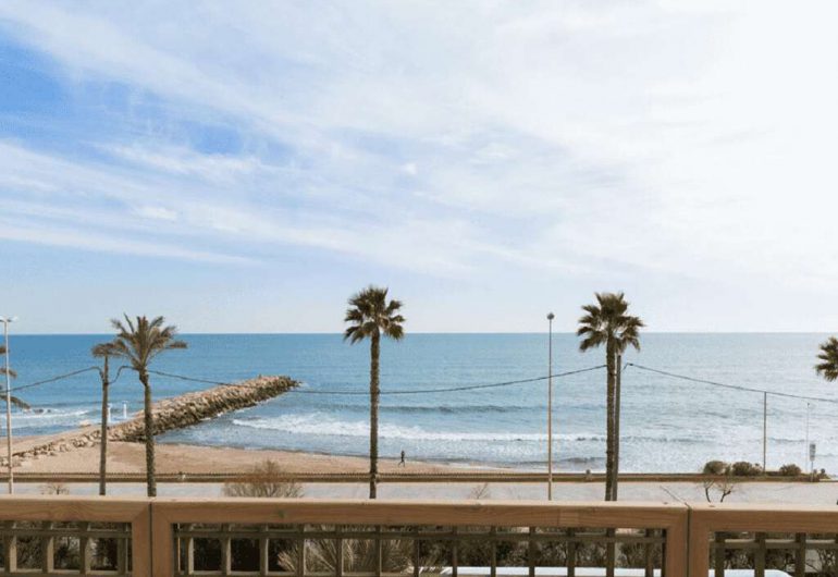 Mer plage et palñiers depuis la maison